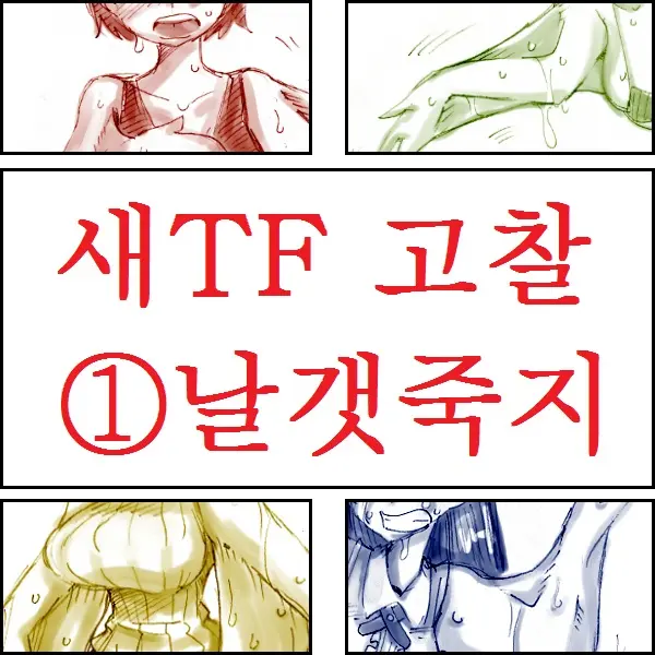 Tori TF Ni Kansuru Kousatsu To Renshuu | Study And Practice About Bird TF